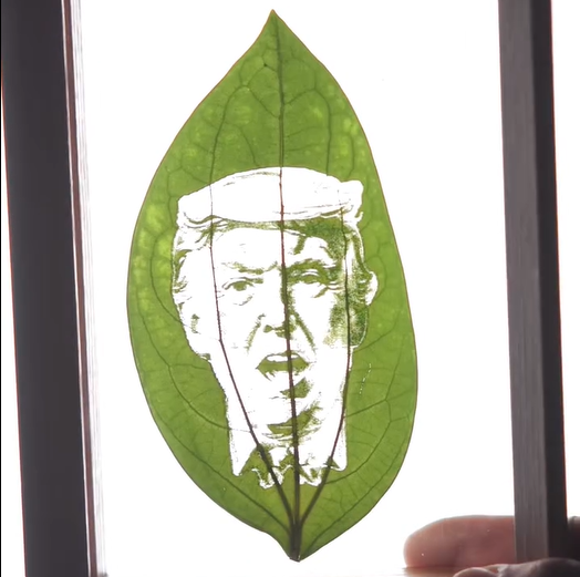 All About Laser Engraving Leaves: A Guide to Leaf Laser Engraving