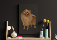 How to UV print on Canvas