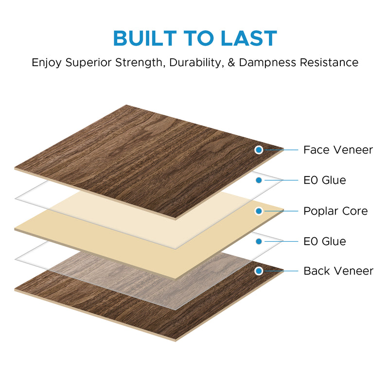 Walnut Plywood 1/8