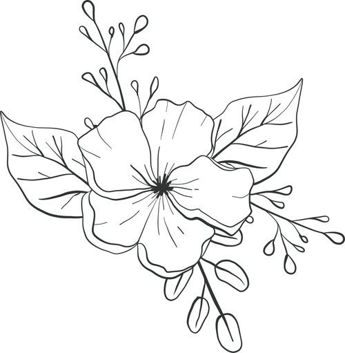 Flowers and Plants