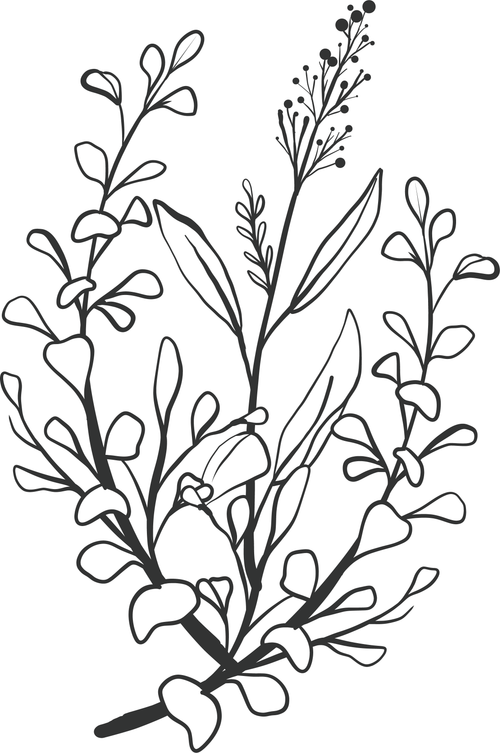 Flowers and Plants